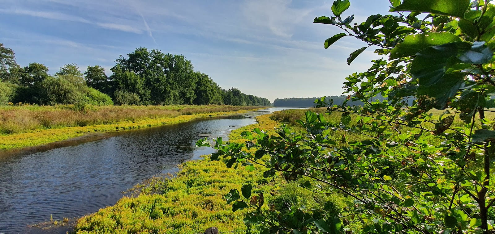 Natuurgebied De Pannenhoef nabij Zundert